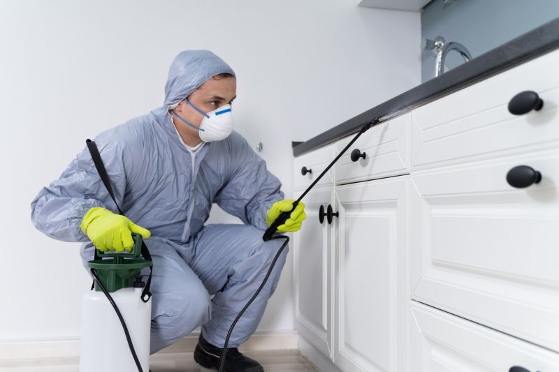 Mites Extermination in Arlington, TX