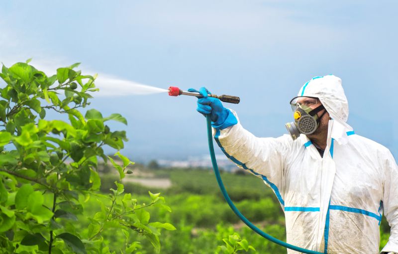 Roach Fumigation in Fredericksburg, VA