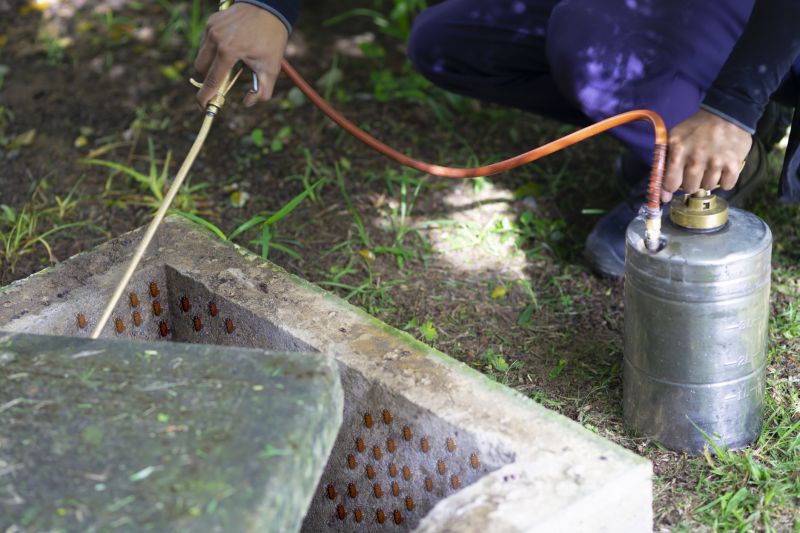 Spider Fumigation Service in San Antonio, TX